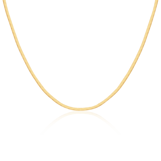Collar Taylor 3MM