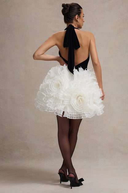 Meringue | Vestido corto  de Terciopelo Negro con Escote Pronunciado y Falda de Tul