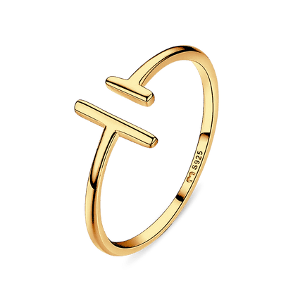 Anillo Magnet