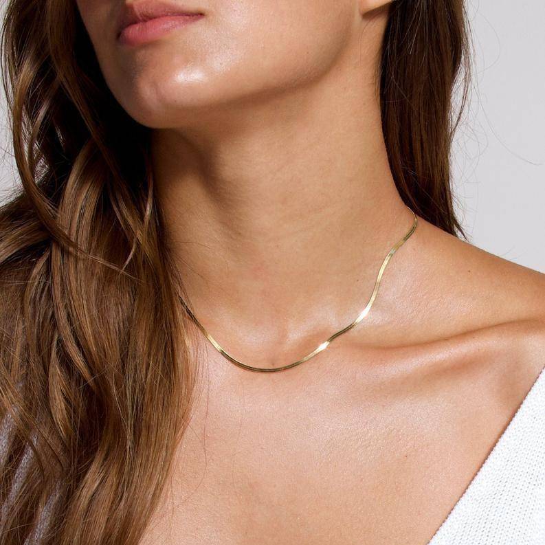 Collar Taylor 3MM