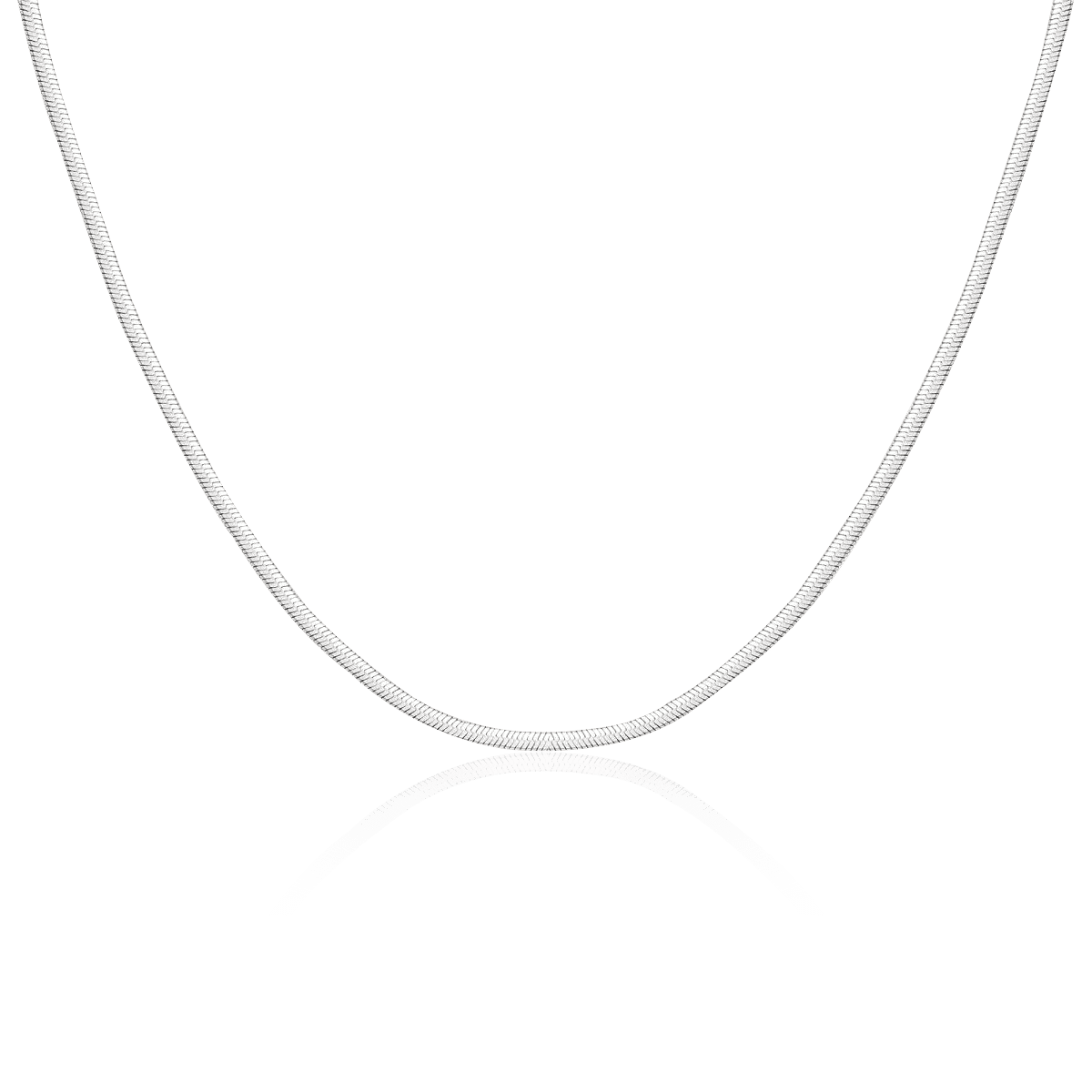 Collar Taylor 3MM