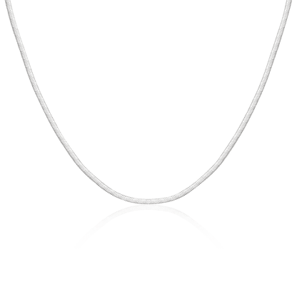 Collar Taylor 3MM