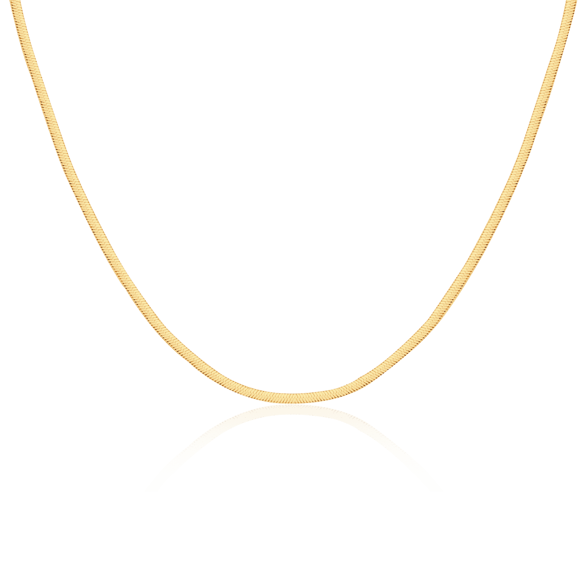 Collar Taylor 3MM