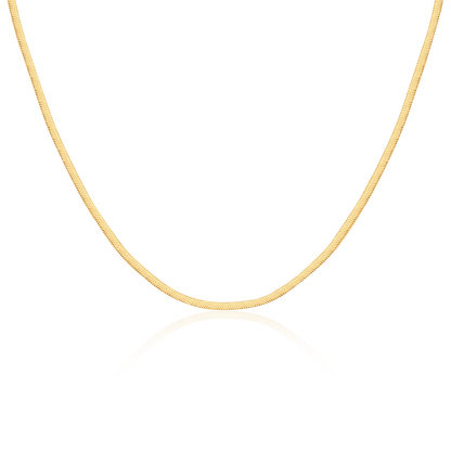 Collar Taylor 3MM