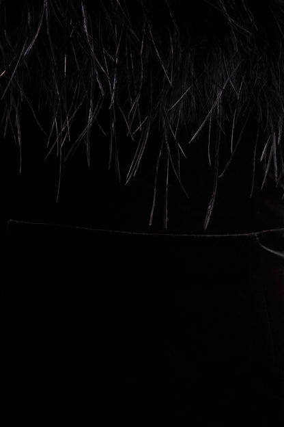 Arella | Vestido Largo de terciopelo negro con escote bandeau y ribete de plumas