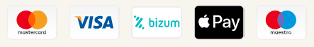 Mastercard, Visa, Bizum, Apple Pay, Maestro